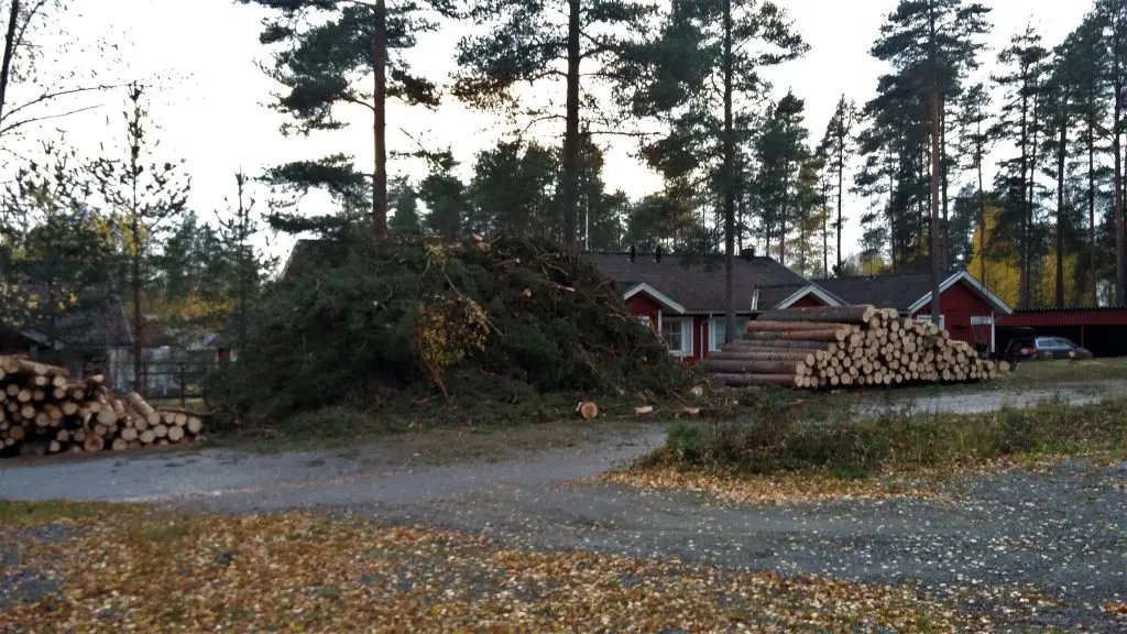 Alavudella puiden kaato ja myynitä varten pinoaminen